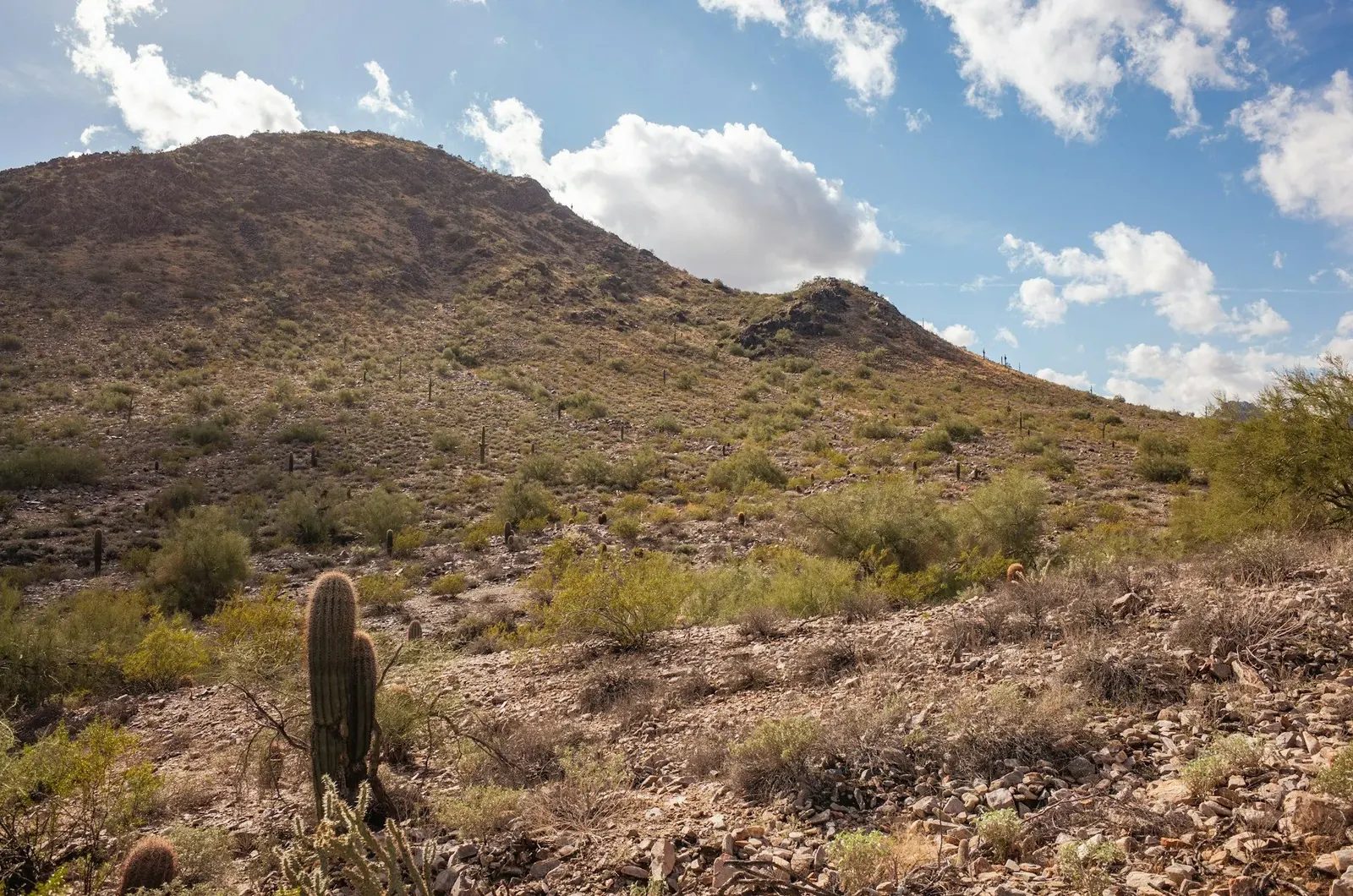 North Scottsdale